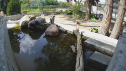 f14279d0-5e2d-4bf5-b43b-4d0b66ff23ba