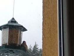 67eb3841-ee21-404a-840d-040ba0486222