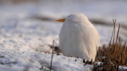 2fc332e8-163e-4d43-b304-eb7e24234f3d