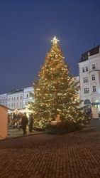 d1459897-cabf-46d0-8540-78b57a39aac5