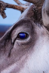 56897339-c7a1-4173-8fc9-ba52bcb8190e