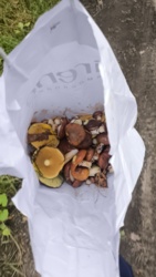 3852c77a-2aff-4655-bd7e-7919485e67c4