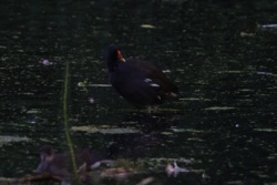 d83dd1bf-8548-48df-9b96-01f60b44e919