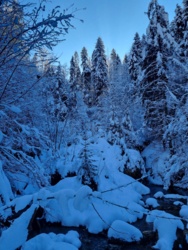 8494bebb-19c9-4a59-902c-b6680b0a34ca