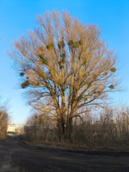 21063ada-e069-4948-bffa-8be2a91b39c5