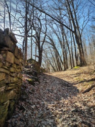 d38c6b74-e030-468c-b5fb-f19438f5435e