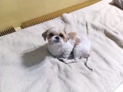 9cc55d4a-ddf4-4956-91c4-5570e3fa5797