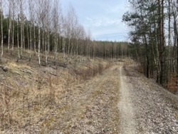 39297fc2-47e0-4ab7-b7fa-bad37f0c85e6