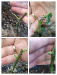 e417c688-9ff1-435b-832e-63d831be2c68