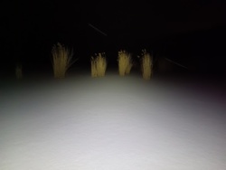 baedebc1-34fb-4136-b7cf-5f8f6ee8cc26