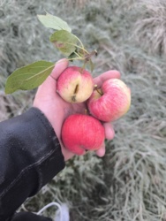 be57d939-e054-4993-840e-045fce257e4e