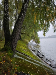 035955e7-bbaf-448b-aafb-74ba76bccd11