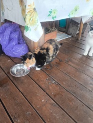 ba2ef9d5-0d66-4fc5-b8c1-027c32e9a2f3