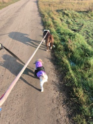 239e4d11-2f14-4068-a967-2585abcb49d5