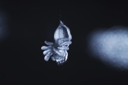 3b83082d-cbc0-4023-8bf0-38306c7bcefc