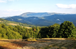 Jak Wałasi rozgościli się w Beskidzie Śląskim, czyli rzecz o pasterstwie i polanach w Brennej