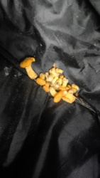 46c92b4f-4092-48f8-a78a-b0376a9e706e