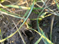 2f7dc6fd-2606-48d2-9da5-3ddbcfd410ed