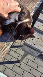 dd26606e-d861-4a33-a48c-3238cc30e8bd