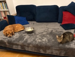 5c7a811d-7eac-4d26-9aef-5f6a75d97a0f