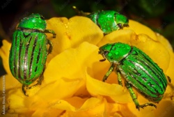 86856189-07cd-4104-987c-fe58bff39a83