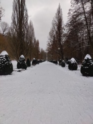 4080ca7c-15be-4815-90a9-1f10eb7e5ed4