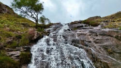 29f1b096-5a85-4602-9192-2b93479bbbcf