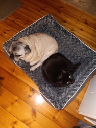 a5405db5-1b37-4af9-aa5e-168f4de32bd6