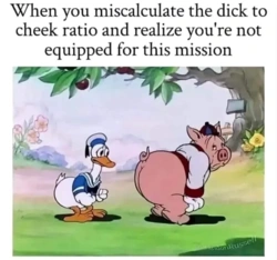 51c1a943-362e-4c56-b253-43194306d5a9