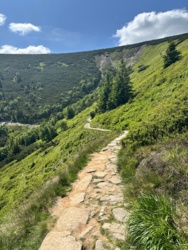 4905fb11-cacd-40cb-80eb-c6404dc75098