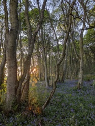 529cd630-80cb-4e65-afe5-e0e8946923fb