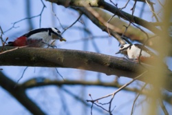 33f74aab-9cc8-4a2f-8292-1cfbf1a337e1