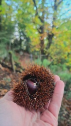 8f813d22-2f35-4836-b61d-4b3b3310aaa9