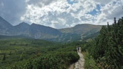 54fc047c-226f-40c6-a532-0ce8b9f4a2b1