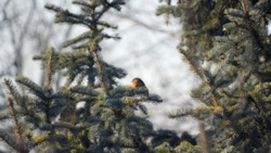 2aeb52d6-1b58-4249-88aa-e536742bc2e4