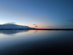 d8d92ec5-a918-4551-8e4b-12dd18a5a2fa