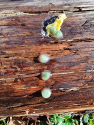 41a5e3f7-37b4-4d6a-98fd-b634ac67698d