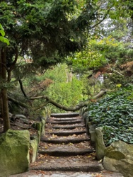 3a642dee-7c86-4eaf-9b53-1c3bc82e9432