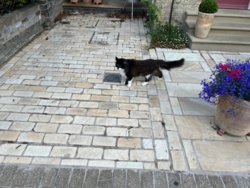 39b2a08b-639e-4932-8d78-c9c72475c93d