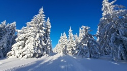 da55b16d-8ec4-4324-8561-a2733504af9e