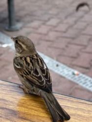 6b509824-e91e-4595-9c5c-32bdc14a6592