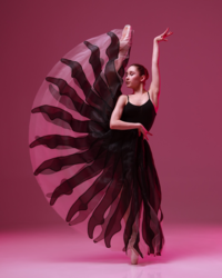 e12c3a35-97cb-4ee2-9600-3b286f2e6cbd