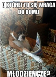 04cb3ac6-6d57-48bc-a47c-6c08c32e8fca