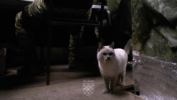 ecf1a9b4-0a62-4fad-a0e7-2fa3441f86c8