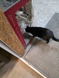 f90f425e-9eef-450e-a479-7fb9ecd800f9