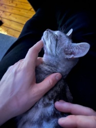 31c00a29-d3d5-4ffa-a9b3-81a14acafd62