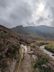 128ad7b3-9680-4189-a572-09616992bfe1