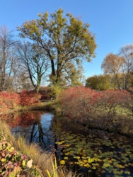 22642da6-0f3c-42e2-a847-dcf6efaa4151