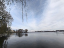 a82cd71f-3e06-472c-8b71-0c7f44cd818c