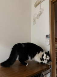 0e9f5469-aa5d-44a4-ae79-11eb4e7a7153